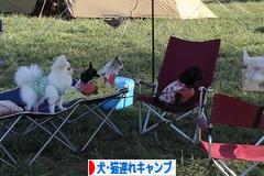 にほんブログ村 アウトドアブログ 犬連れ・猫連れキャンプへ